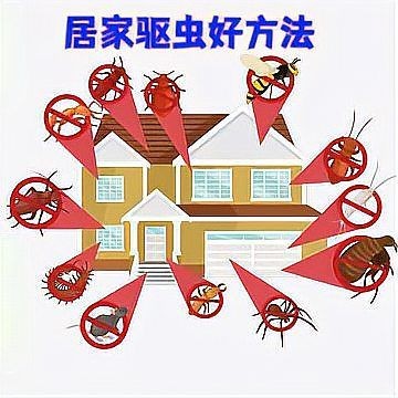 家里出現(xiàn)蠹蟲(chóng)要警惕了：家里出現(xiàn)蠹蟲(chóng)怎么驅(qū)蟲(chóng)最有效方法，莫莫為你健康護(hù)航 家里出現(xiàn)蠹蟲(chóng)要警惕了：家里出現(xiàn)蠹蟲(chóng)怎么驅(qū)蟲(chóng)最有效方法，莫莫為你健康護(hù)航 龍魚(yú)百科 第9張