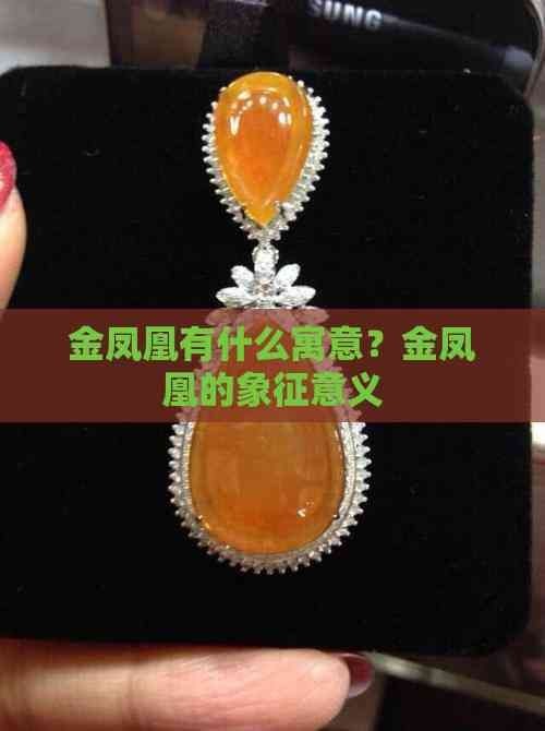 金鳳凰代表什么含義：金鳳凰形象源于古代神話傳說中的金鳳凰形象源于神話傳說