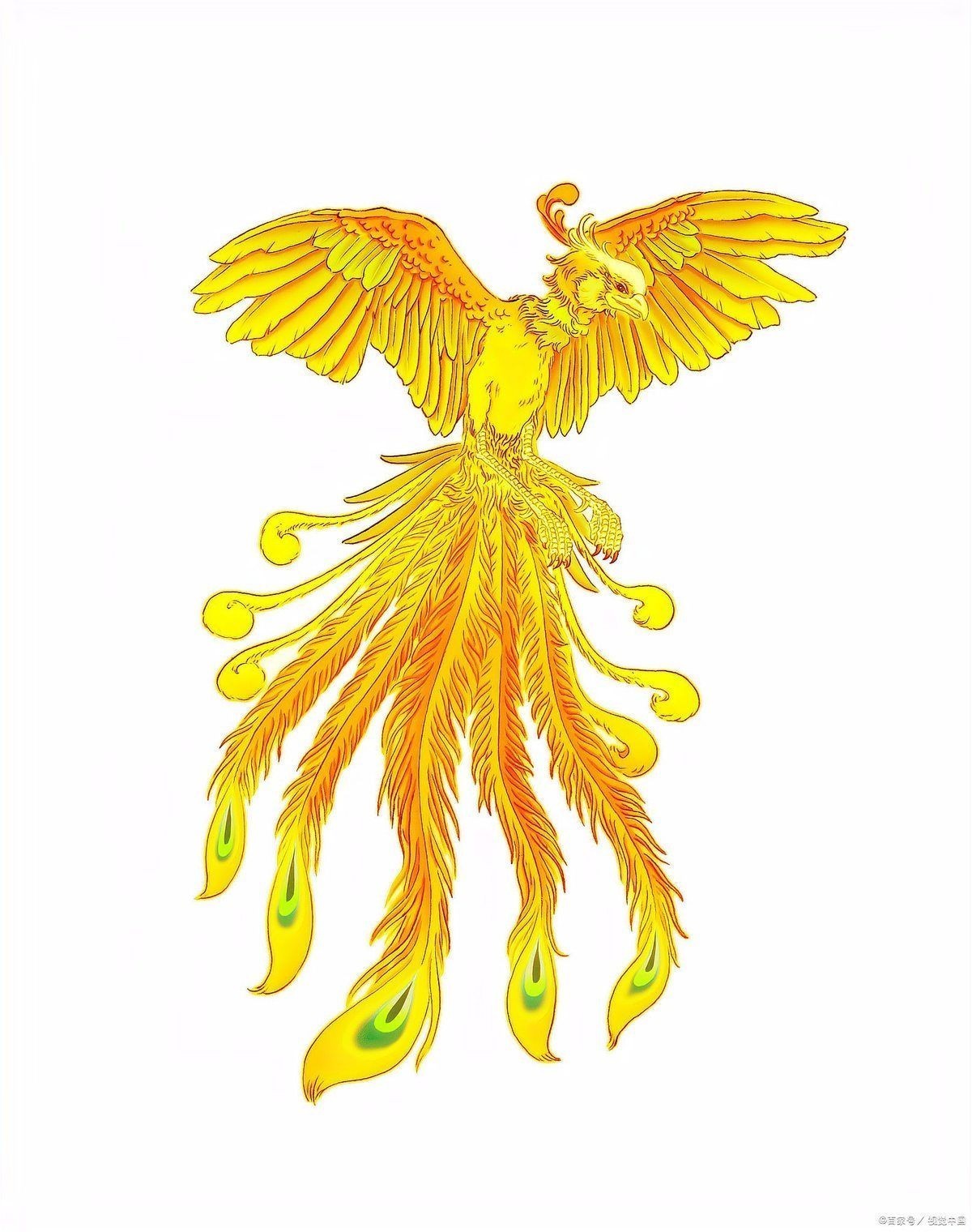 金鳳凰代表什么含義：金鳳凰形象源于古代神話傳說中的金鳳凰形象源于神話傳說