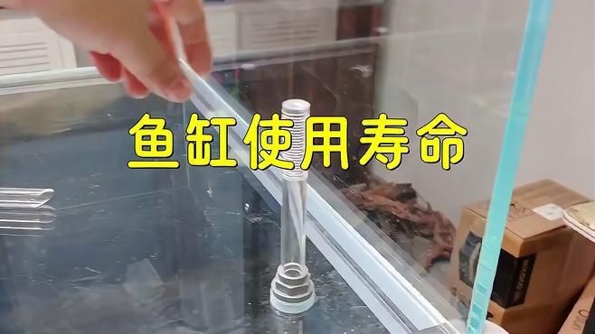 久鼎魚缸一般壽命幾年：久鼎魚缸使用壽命分析：玻璃魚缸能用多久其實沒那么長