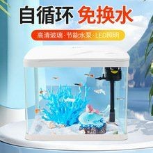 臨沂魚缸批發(fā)市場(chǎng)：臨沂魚缸批發(fā)市場(chǎng)大揭秘加盟星華東國(guó)際水產(chǎn)城市場(chǎng) 臨沂魚缸批發(fā)市場(chǎng)：臨沂魚缸批發(fā)市場(chǎng)大揭秘加盟星華東國(guó)際水產(chǎn)城市場(chǎng) 全國(guó)水族館企業(yè)名錄 第3張