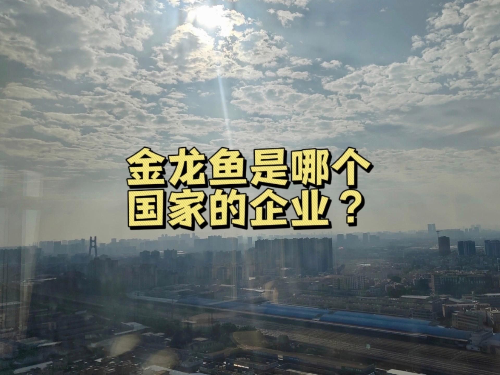 金禾金龍魚是正規品牌嗎：嗶哩嗶哩金龍魚是哪個國家的企業 金禾金龍魚是正規品牌嗎：嗶哩嗶哩金龍魚是哪個國家的企業 龍魚百科 第1張