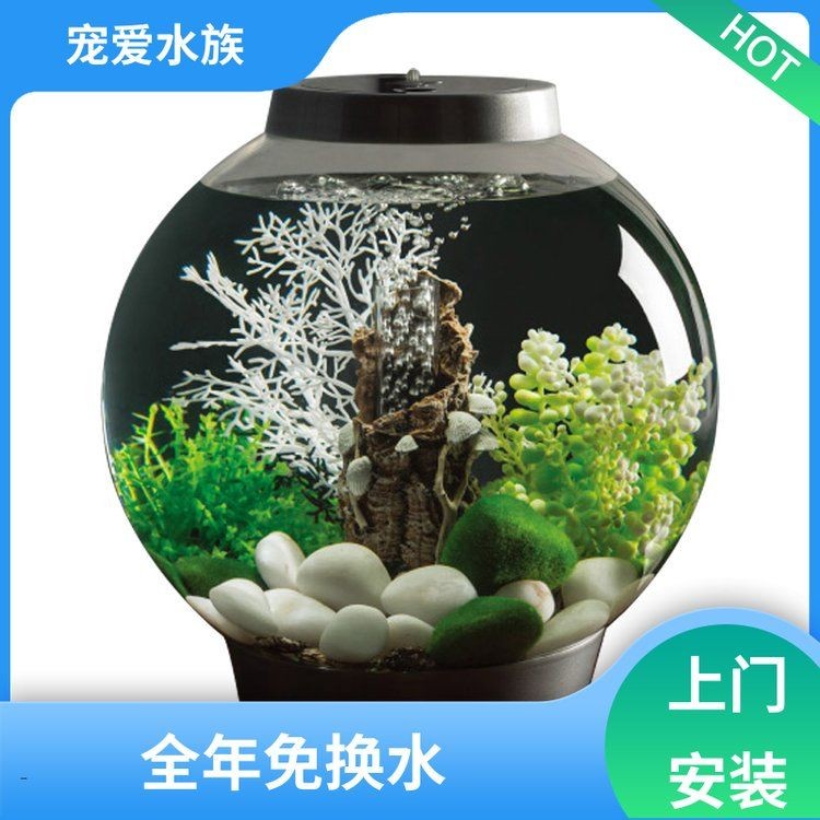 孝感魚缸批發(fā)市場：孝感魚缸批發(fā)市場是什么？