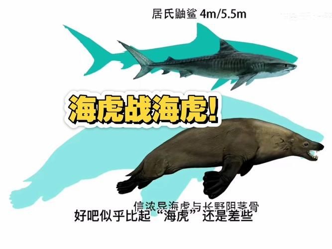 海虎長啥樣圖片：“海虎”并非正式生物學名稱，