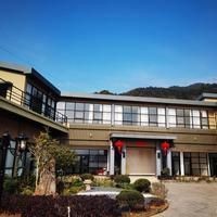 家養小鯊魚多少錢一只：家養小鯊魚有哪些品種選擇