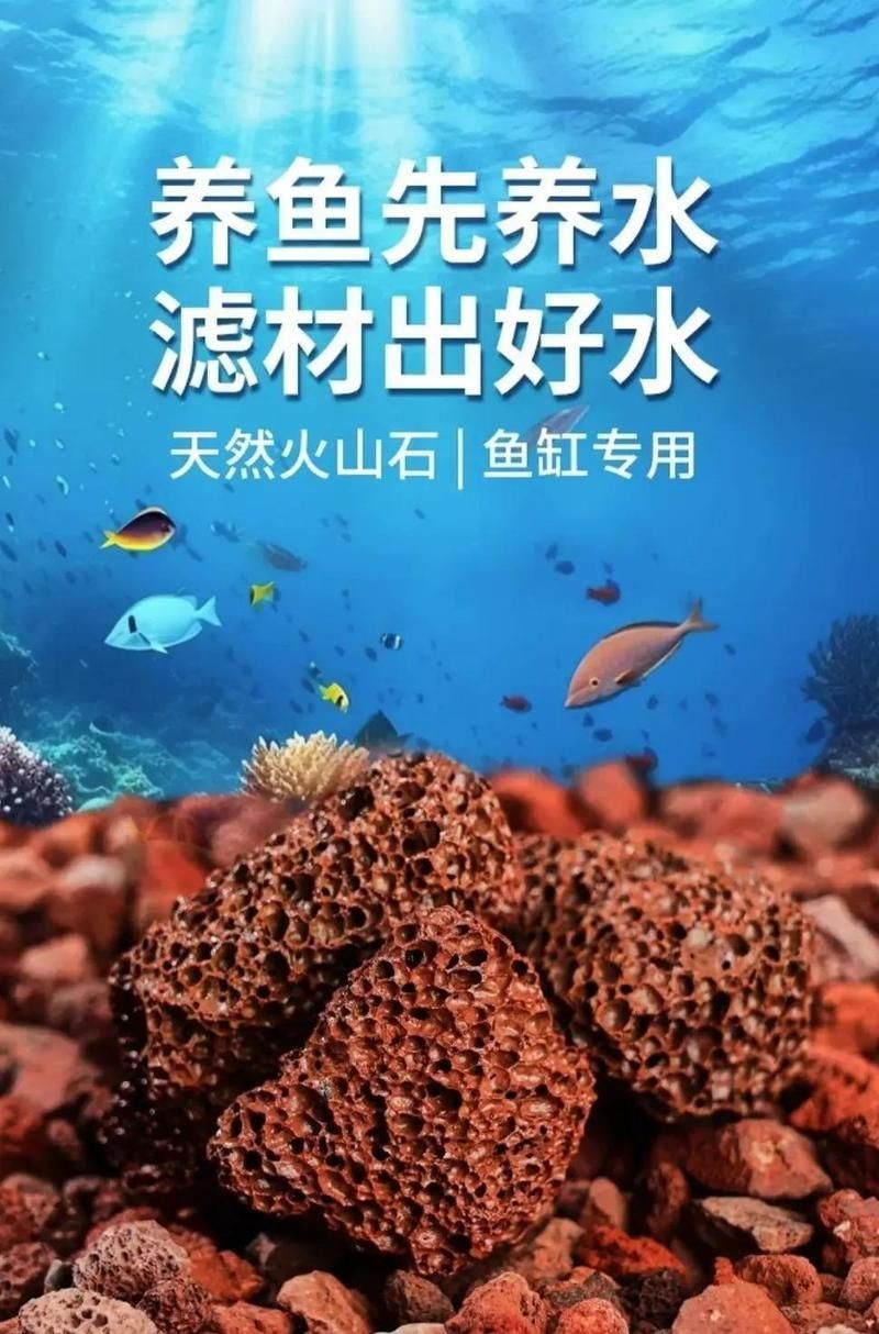 河里的天然濾材：天然沸石的應(yīng)用 河里的天然濾材：天然沸石的應(yīng)用 龍魚論壇 第10張