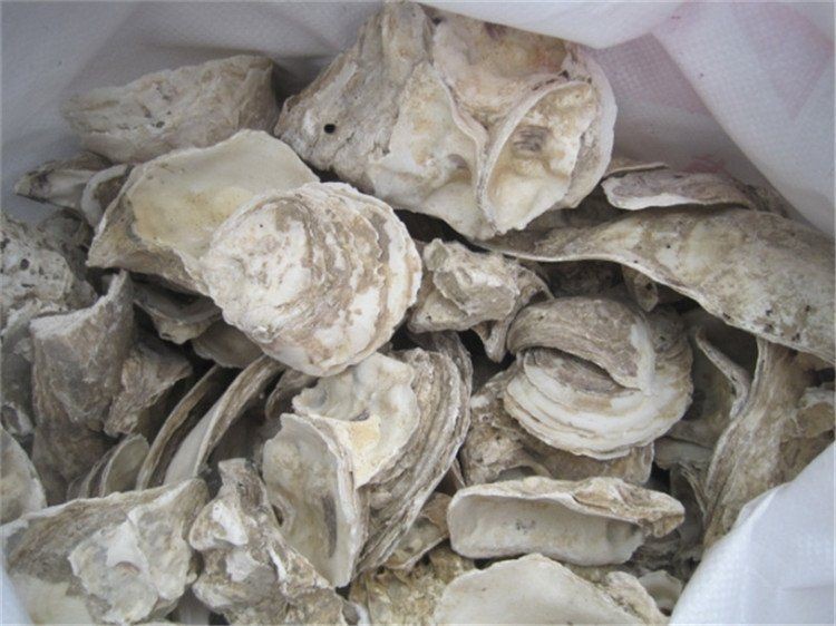 河里的天然濾材：天然沸石的應(yīng)用 河里的天然濾材：天然沸石的應(yīng)用 龍魚論壇 第12張