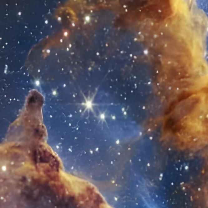 海鰻和電鰻是一樣的嗎:海鰻與電鰻有什么區(qū)別? 龍魚論壇 第8張 海鰻和電鰻是一樣的嗎:海鰻與電鰻有什么區(qū)別? 海鰻和電鰻是一樣的嗎:海鰻與電鰻有什么區(qū)別? 龍魚論壇 第8張