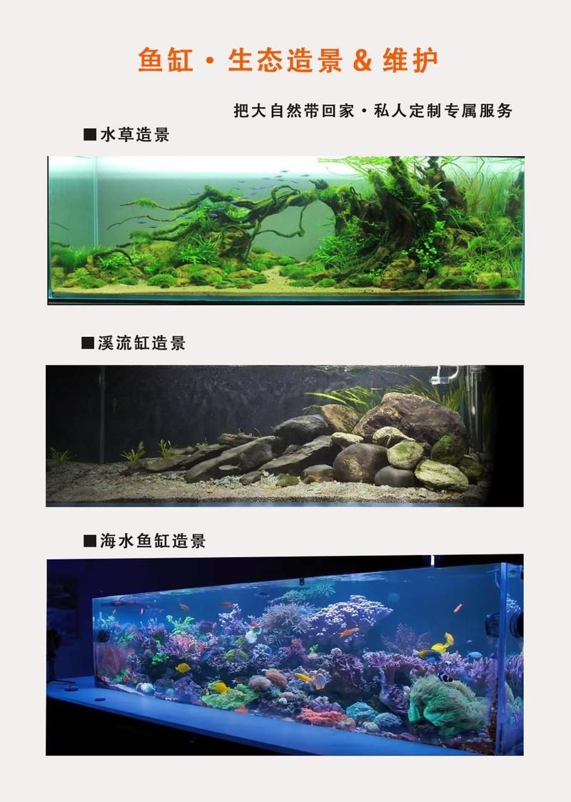 廣州魚(yú)缸維護(hù)：廣州魚(yú)缸專業(yè)維護(hù)全攻略