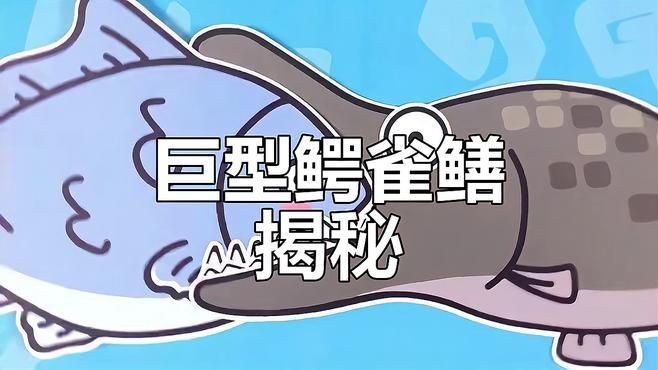 火箭魚和鱷雀鱔的區別：火箭魚與鱷雀鱔的區別