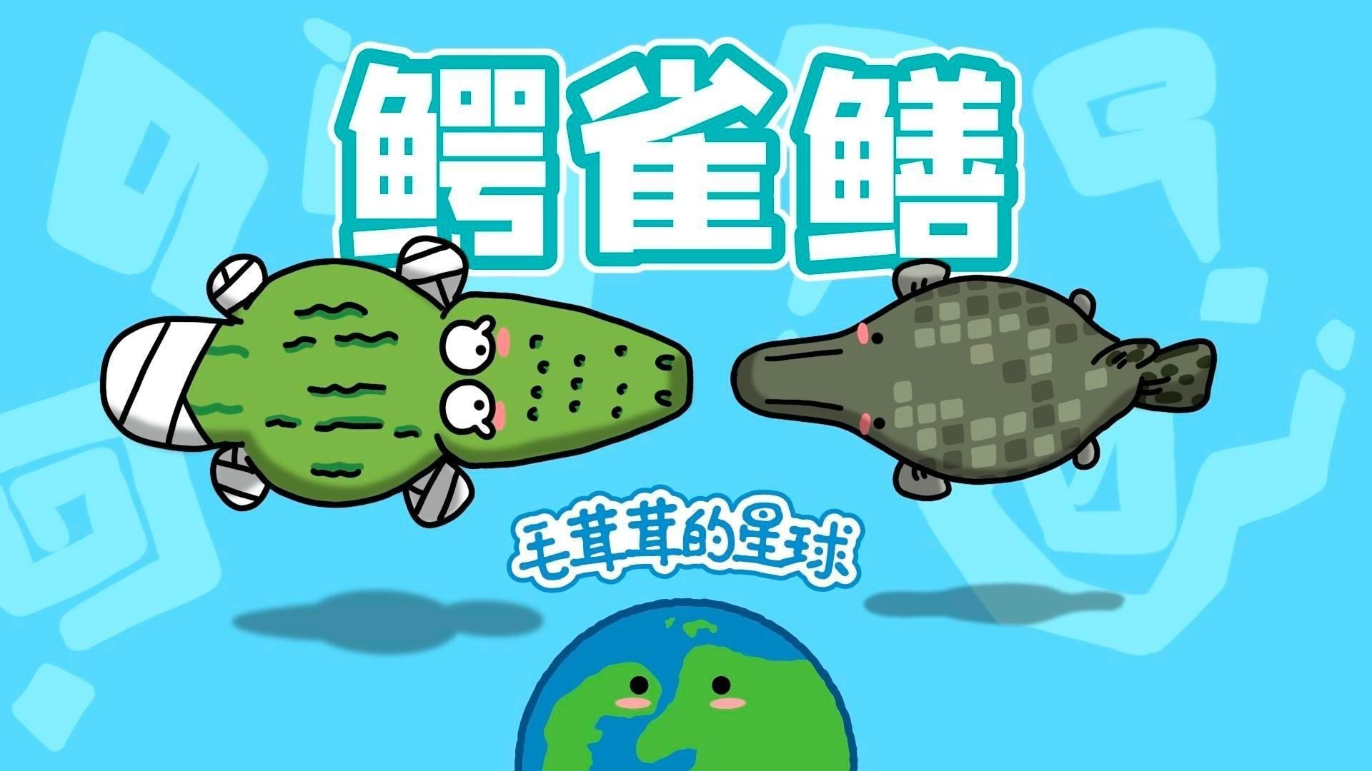 火箭魚和鱷雀鱔的區(qū)別：火箭魚與鱷雀鱔的區(qū)別
