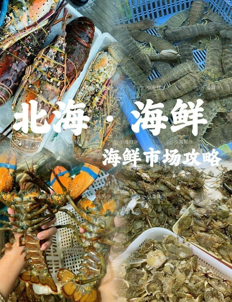北海水族批發市場：北海水族批發市場是華南地區影響力的專業水族交易平臺 北海水族批發市場：北海水族批發市場是華南地區影響力的專業水族交易平臺 全國水族館企業名錄 第13張