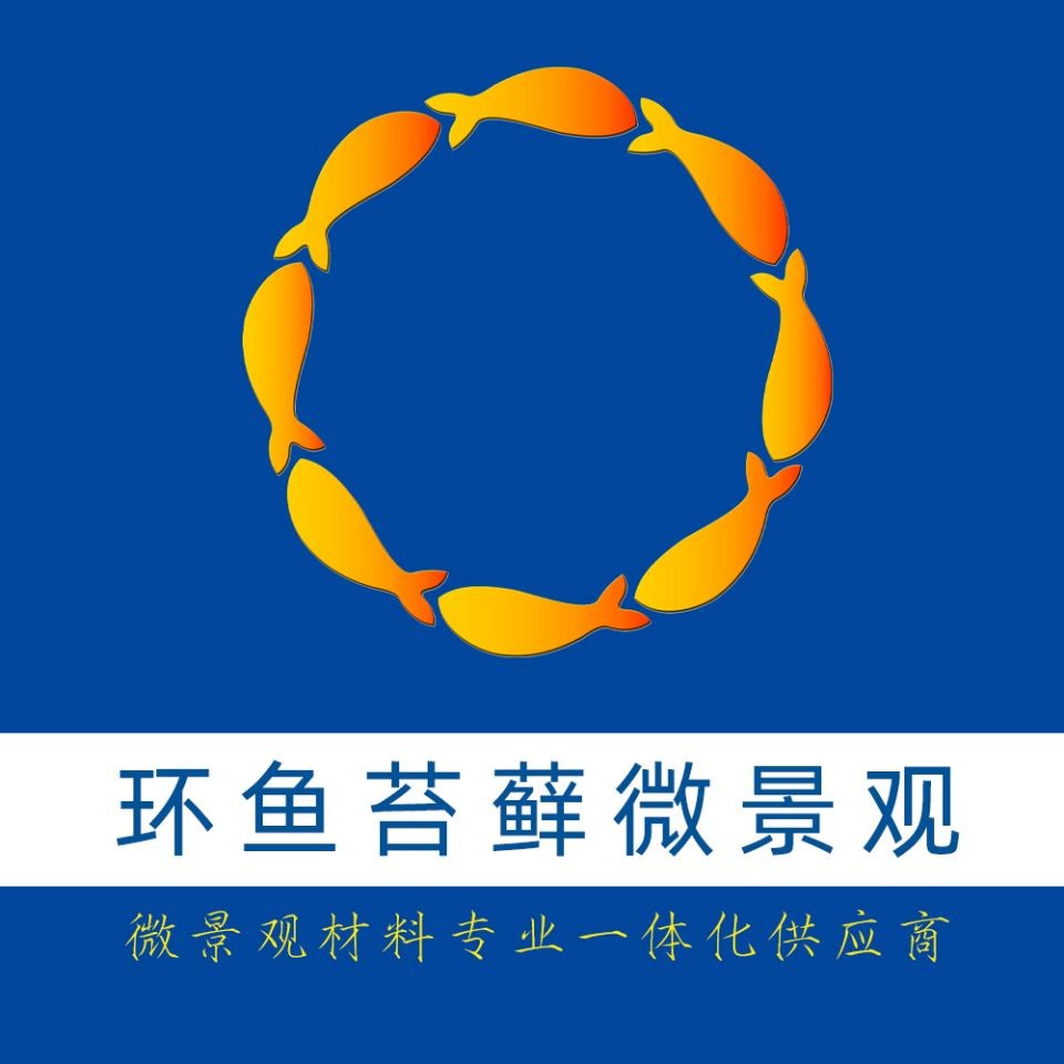 金雕圖片大全：*《金雕圖片大全》圖片聚焦于自然界頂級掠食者