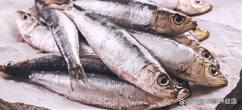 恢復傷口最快的魚：促進傷口愈合的魚類及其營養學指南及多篇三甲推薦