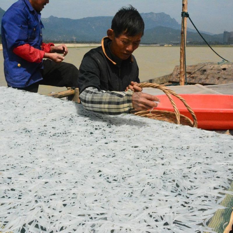 湖里的魚有哪些品種：探索多種淡水魚類,你才算是一個真正的釣魚人