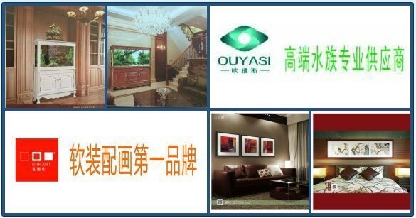 成都水族店：成都水族行業(yè)發(fā)展前景如何？
