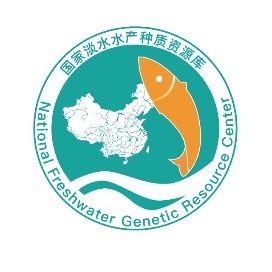 國內首例龍魚繁殖：國內首例龍魚人工繁殖開嘴全過程丨搜狐