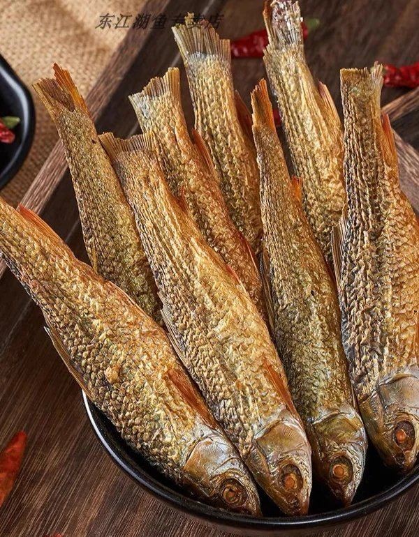 火炬魚有什么寓意和象征：火炬魚的吉祥寓意與文化象征著人類對美好生活的多重期許 火炬魚有什么寓意和象征：火炬魚的吉祥寓意與文化象征著人類對美好生活的多重期許 龍魚論壇 第11張