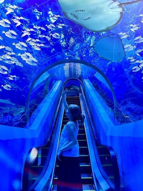 廣州水族館2000字:廣州水族館特色、游覽體驗及體驗及生態意義展開 全國水族館企業名錄 第2張 廣州水族館2000字:廣州水族館特色、游覽體驗及體驗及生態意義展開 廣州水族館2000字:廣州水族館特色、游覽體驗及體驗及生態意義展開 全國水族館企業名錄 第2張