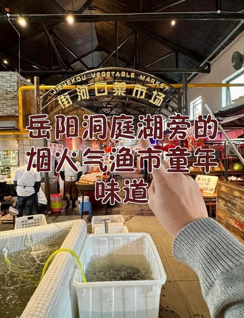 岳陽水族批發(fā)市場：岳陽水族批發(fā)市場體系剖析岳陽水族批發(fā)市場現(xiàn)狀