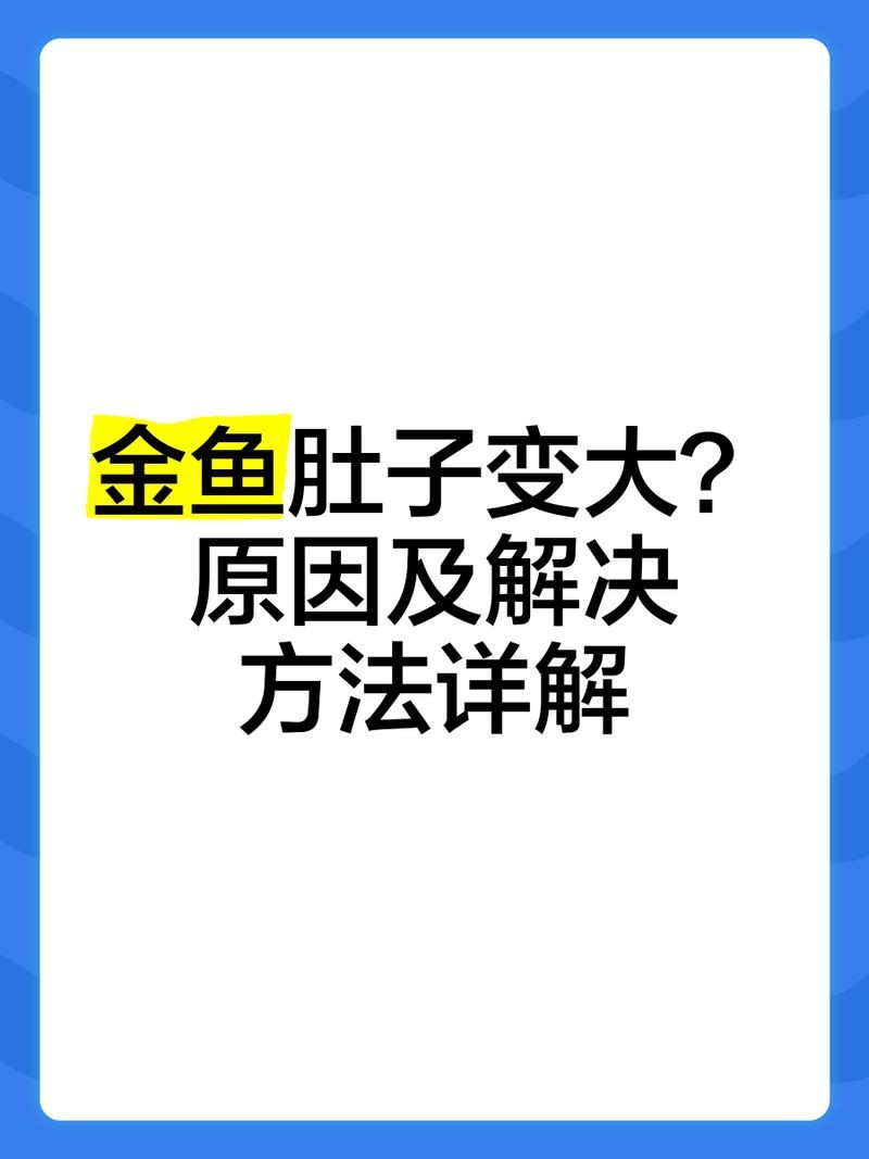 金魚懷孕了需要單獨養(yǎng)嗎：金魚懷孕了怎么辦