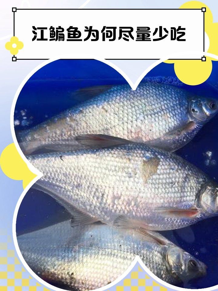 江鳊魚為何盡量少吃：關于江鳊魚的健康問題