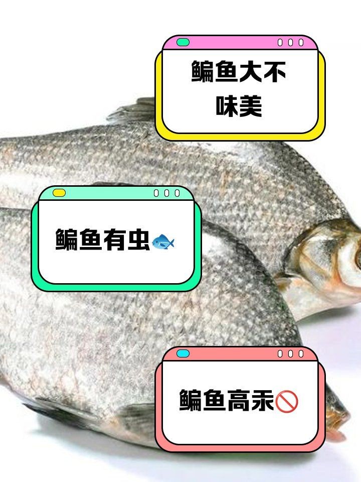 江鳊魚為何盡量少吃：關于江鳊魚的健康問題