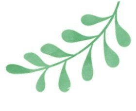 江鳊魚為何盡量少吃：關于江鳊魚的健康問題