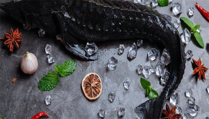 活黑魚一般多少錢一斤：活黑魚的價格受哪些因素影響？ 活黑魚一般多少錢一斤：活黑魚的價格受哪些因素影響？ 龍魚論壇 第6張