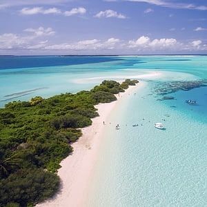 活黑魚一般多少錢一斤：活黑魚的價格受哪些因素影響？ 活黑魚一般多少錢一斤：活黑魚的價格受哪些因素影響？ 龍魚論壇 第2張