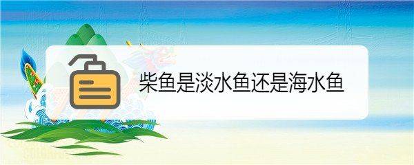 廣東柴魚又叫什么魚：廣東地區所稱“柴魚”并非單一魚種并非單一魚種