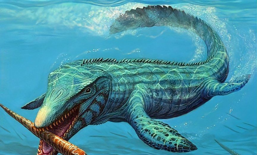 海洋十大霸主排名:海洋中十大最強攻擊性強的動物 龍魚論壇 第7張 海洋十大霸主排名:海洋中十大最強攻擊性強的動物 海洋十大霸主排名:海洋中十大最強攻擊性強的動物 龍魚論壇 第7張