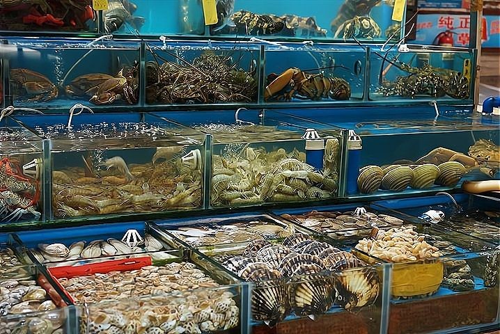 海鮮加盟店前十名的店：海鮮加盟店前十名品牌分析 海鮮加盟店前十名的店：海鮮加盟店前十名品牌分析 龍魚論壇 第3張