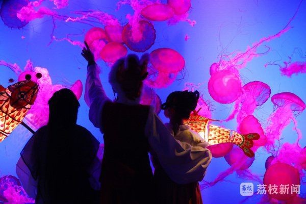 海老虎魚的圖片大全:“海老虎魚”視覺檔案高清圖片資源高清圖集展示 龍魚論壇 第29張 海老虎魚的圖片大全:“海老虎魚”視覺檔案高清圖片資源高清圖集展示 海老虎魚的圖片大全:“海老虎魚”視覺檔案高清圖片資源高清圖集展示 龍魚論壇 第29張