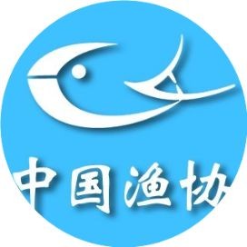 和興龍魚文建強：和興龍魚文建強的行業發展歷程與行業貢獻與理念分析