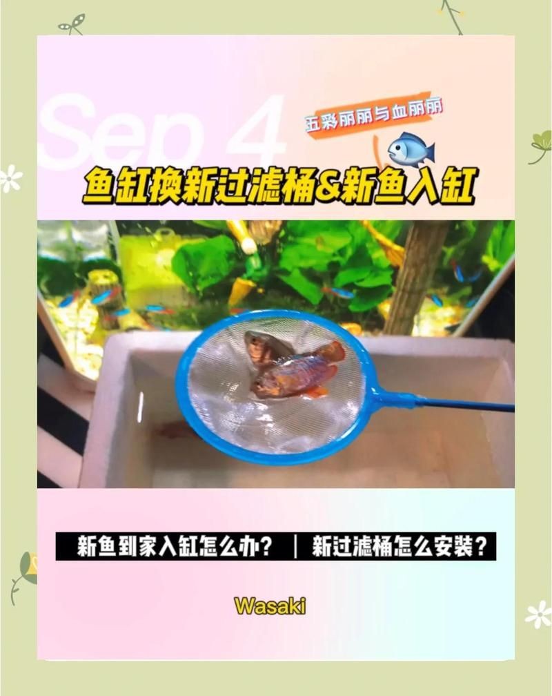 麗水魚缸店：麗水市魚缸零售店鋪綜合信息整理麗水市魚缸零售店鋪綜合信息整理