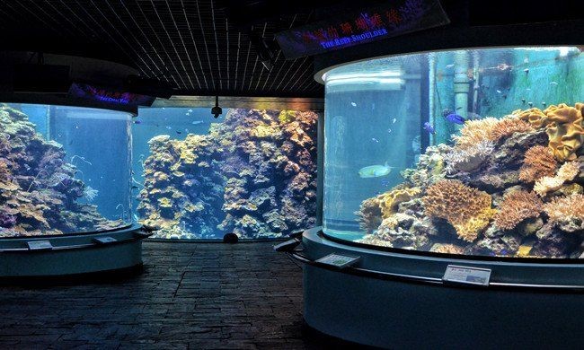 大連水族店：大連圣亞海洋世界 大連水族店：大連圣亞海洋世界 全國水族館企業名錄 第9張