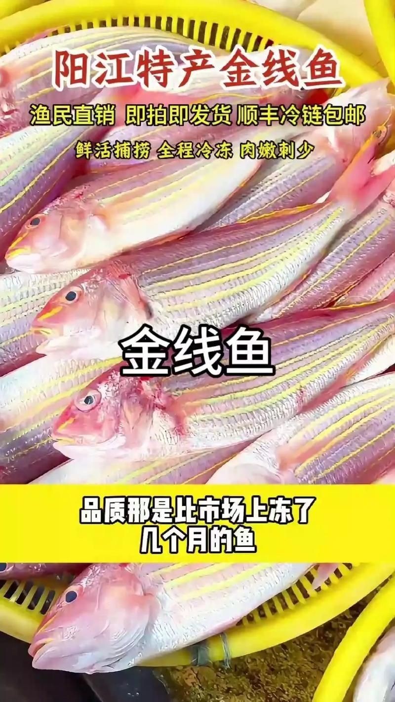 金貓魚圖片大全大圖：《金貓魚圖片大全大圖》