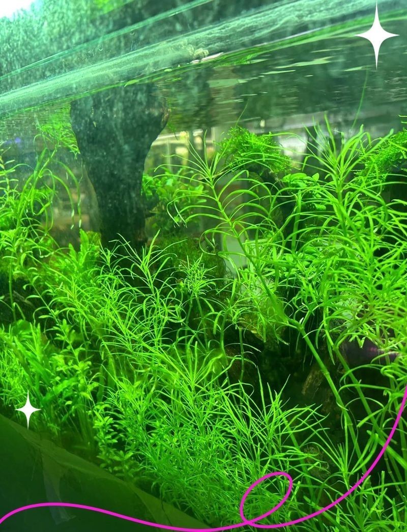 朝陽魚缸批發市場：北京朝陽魚缸批發市場 朝陽魚缸批發市場：北京朝陽魚缸批發市場 全國水族館企業名錄 第4張