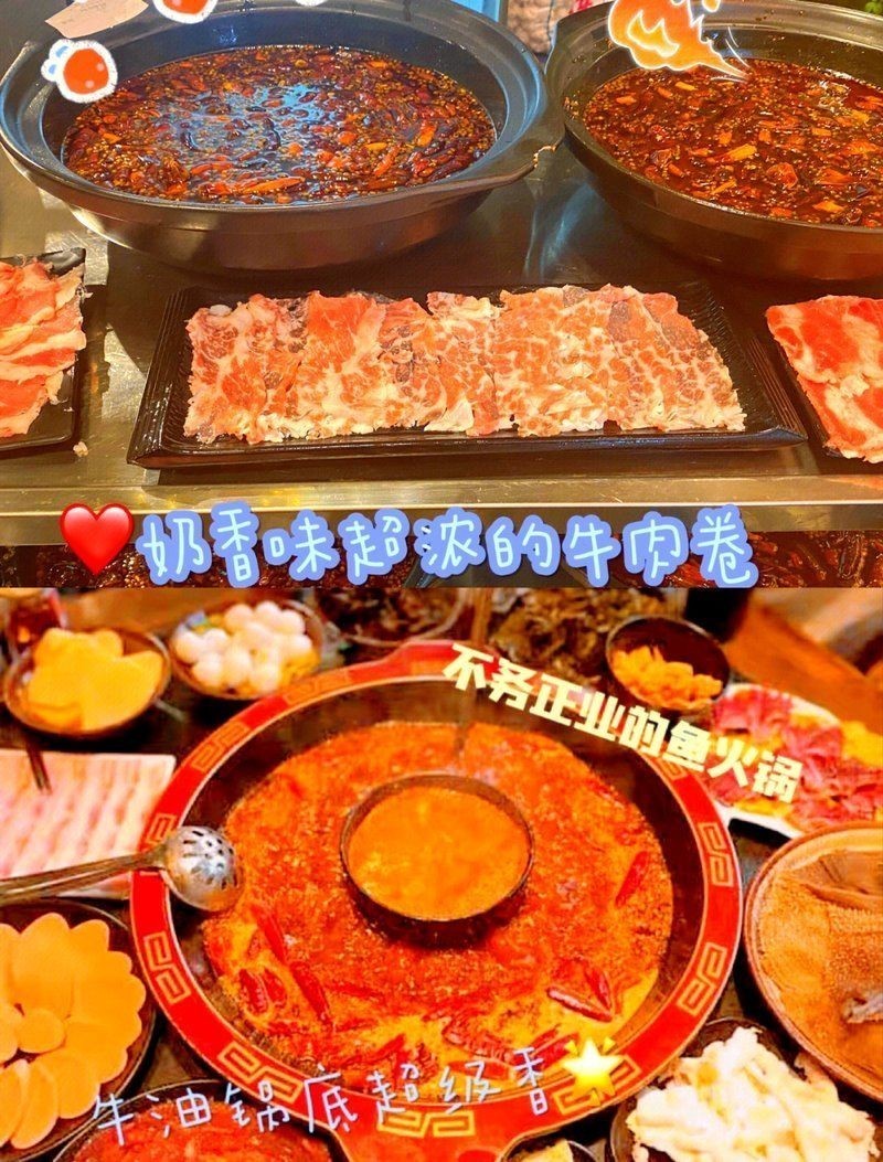 普洱龍魚店：北海普洱龍魚店開個龍魚店需要多少錢創(chuàng)業(yè)機(jī)遇等你來抓