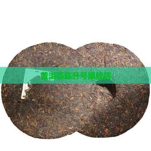 普洱龍魚店：北海普洱龍魚店開個龍魚店需要多少錢創(chuàng)業(yè)機(jī)遇等你來抓