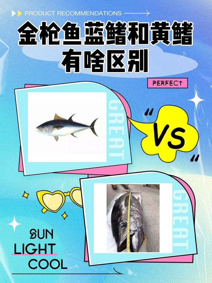 金槍魚藍鰭和黃鰭哪個貴：藍鰭金槍魚與黃鰭金槍魚市場需求差異及市場需求差異 金槍魚藍鰭和黃鰭哪個貴：藍鰭金槍魚與黃鰭金槍魚市場需求差異及市場需求差異 龍魚百科 第2張