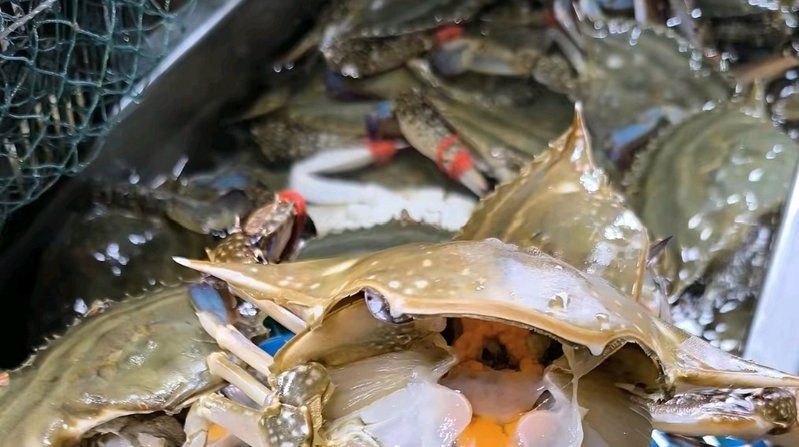 丹東水族批發(fā)市場：丹東市水族批發(fā)市場
