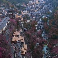 丹東水族批發(fā)市場：丹東市水族批發(fā)市場