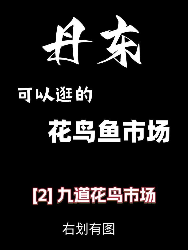 丹東水族批發(fā)市場：丹東市水族批發(fā)市場
