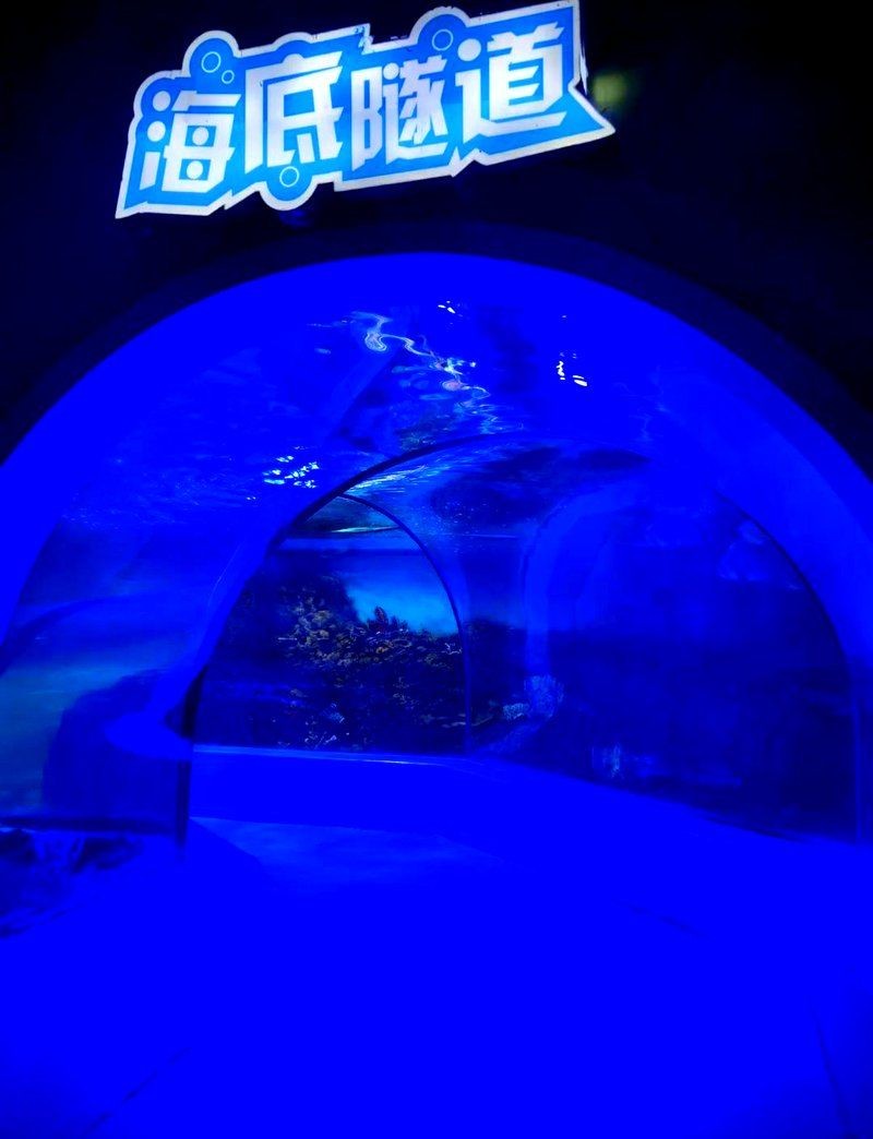 信陽水族店:信陽市浉河區鑫龍水族館 全國水族館企業名錄 第12張 信陽水族店:信陽市浉河區鑫龍水族館 信陽水族店:信陽市浉河區鑫龍水族館 全國水族館企業名錄 第12張
