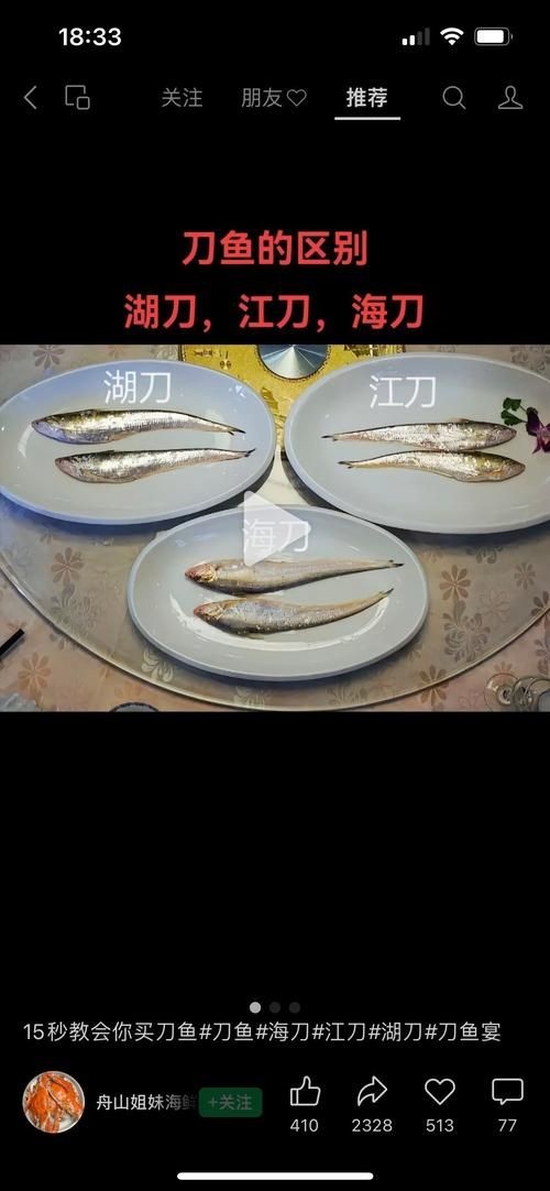 江刀和海刀圖片對比：“江刀”與“海刀”在形態特征上的顯著差異