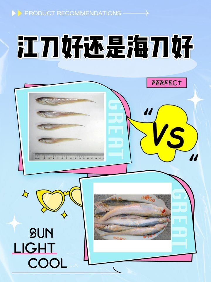 江刀和海刀圖片對比：“江刀”與“海刀”在形態特征上的顯著差異