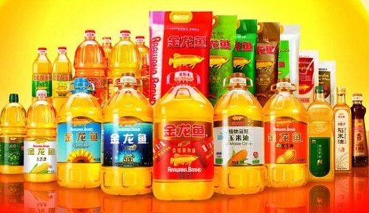 金禾金龍魚是雜牌子還是名牌：金禾金龍魚是雜品牌子還是名牌？ 金禾金龍魚是雜牌子還是名牌：金禾金龍魚是雜品牌子還是名牌？ 龍魚百科 第7張