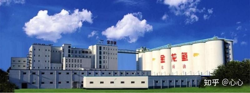 金禾金龍魚是雜牌子還是名牌：金禾金龍魚是雜品牌子還是名牌？ 金禾金龍魚是雜牌子還是名牌：金禾金龍魚是雜品牌子還是名牌？ 龍魚百科 第5張